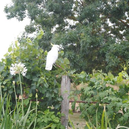 Bed and Breakfast Amble At Hahndorf Exterior foto