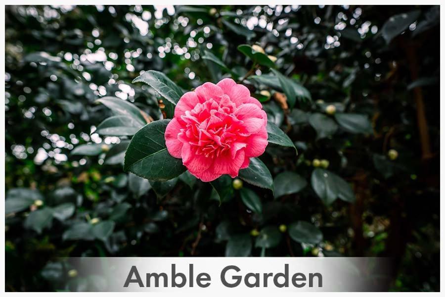 Bed and Breakfast Amble At Hahndorf Exterior foto