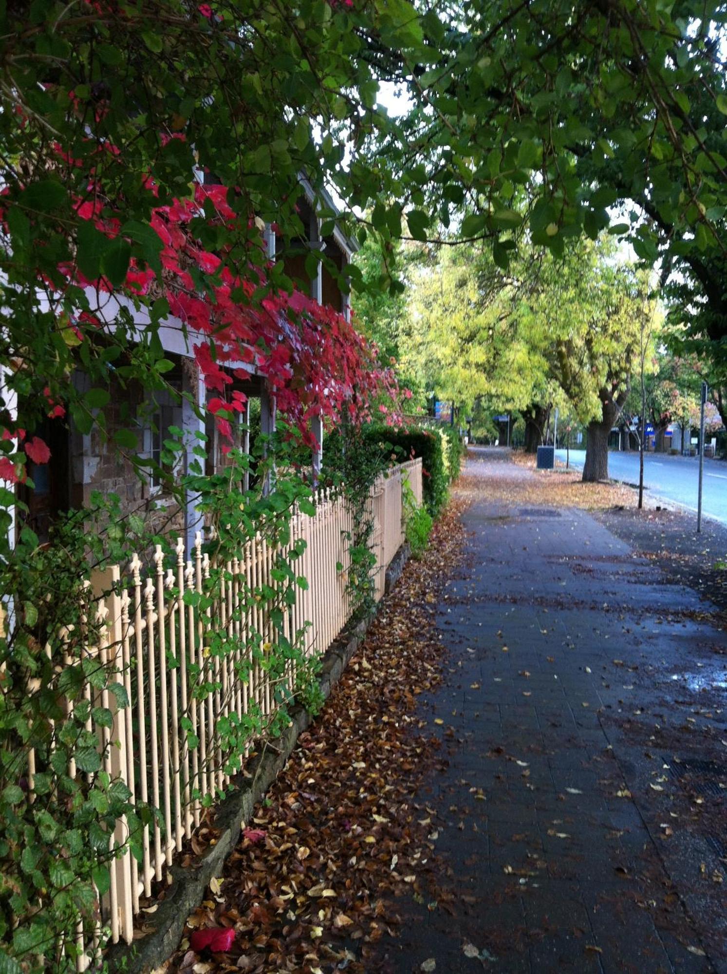 Bed and Breakfast Amble At Hahndorf Exterior foto