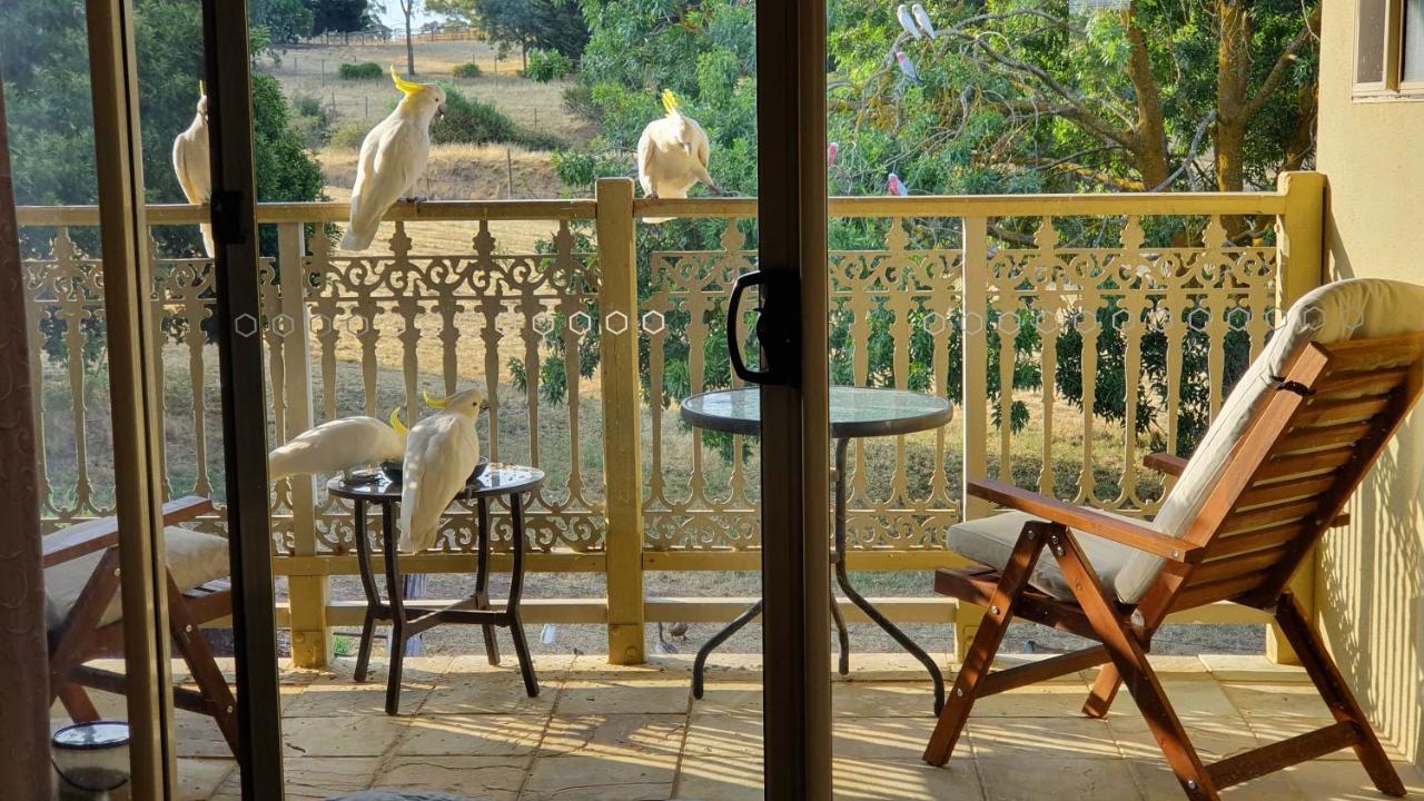Bed and Breakfast Amble At Hahndorf Exterior foto