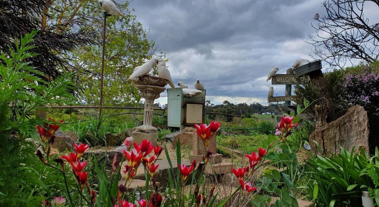 Bed and Breakfast Amble At Hahndorf Exterior foto