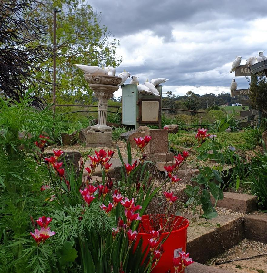 Bed and Breakfast Amble At Hahndorf Exterior foto